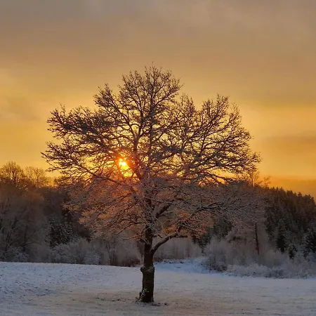 Le Du Tchession شاليه مالميدي