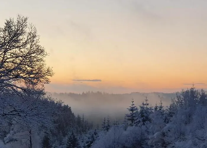 シャレー Le Du Tchession