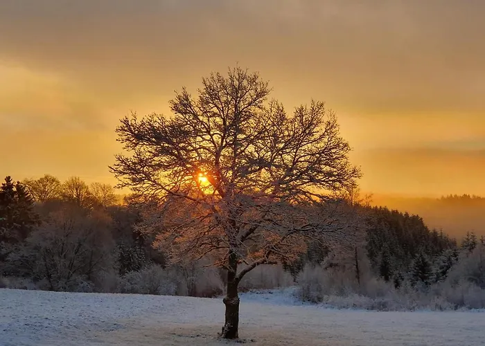 Le Du Tchession シャレー マルメディ